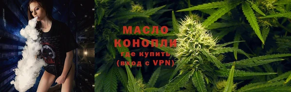 сатива Пестово