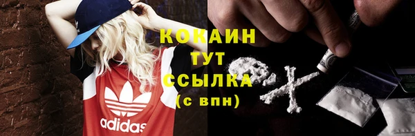 гашик Остров