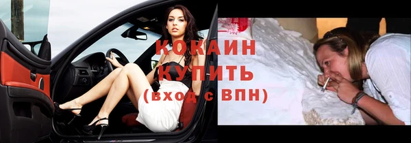 СК Пересвет