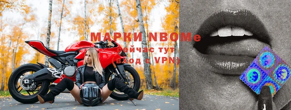 СК Пересвет