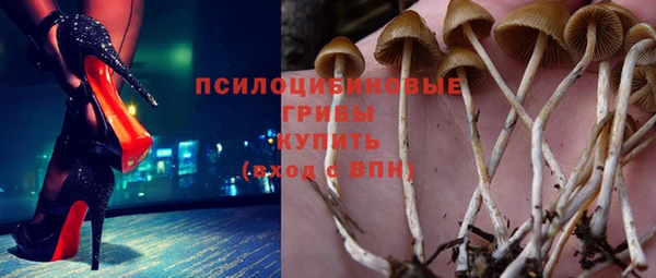 jwh Осинники