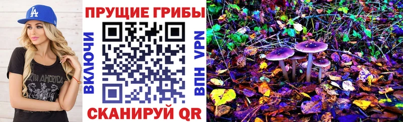 Псилоцибиновые грибы Psilocybine cubensis  блэк спрут онион  Кашира  дарнет шоп 