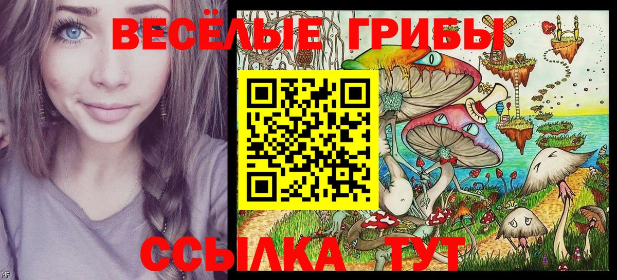 Галлюциногенные грибы прущие грибы Кашира