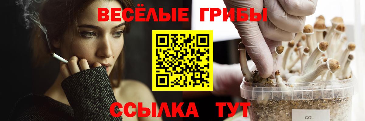 Псилоцибиновые грибы MAGIC MUSHROOMS Кашира