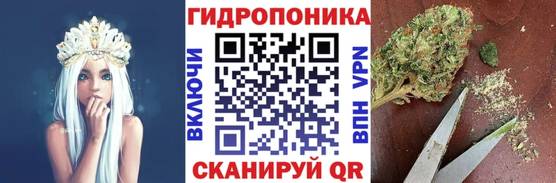 Конопля White Widow omg рабочий сайт Кашира