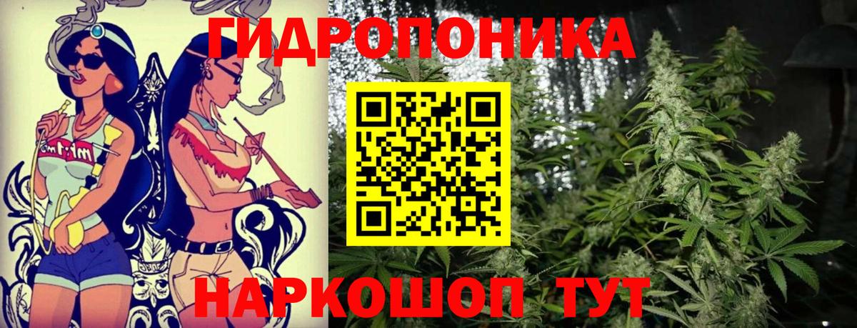 Конопля AK-47 Кашира